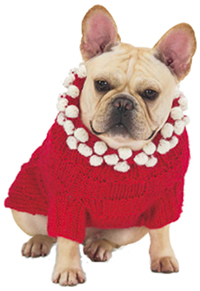 Dog Sweater