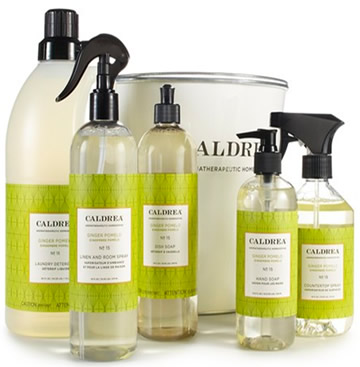 Cleaning Essentials Set