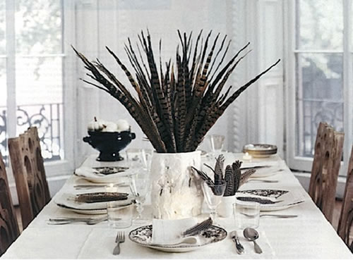 Pheasant Feathers