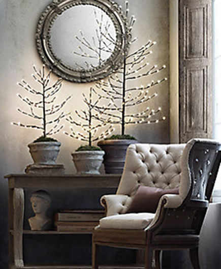 Starlit Collection