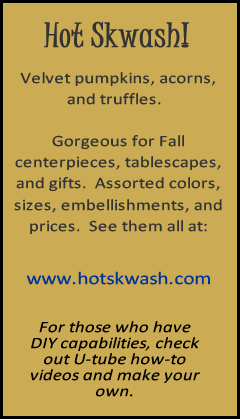 hotskwash.com