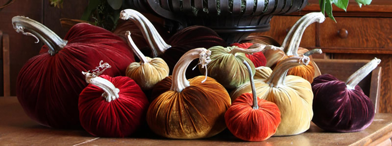 velvet pumpkins