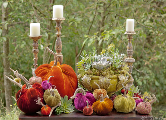 velvet pumpkins and acorns
