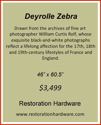 Deyrolle Zebra