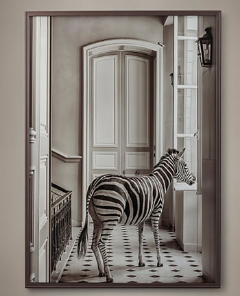 Deyrolle Zebra