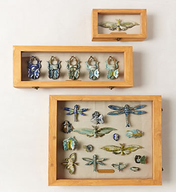 Entomology Shadow Boxes