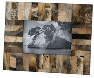 Horn and Resin picture frame