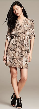 Python Shirt Dress