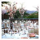 Desert Elegance 10