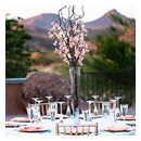 Desert Elegance 11