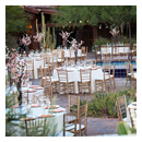 Desert Elegance 14
