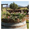 Rustic Mountain 2