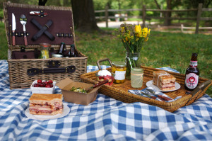 picnic4